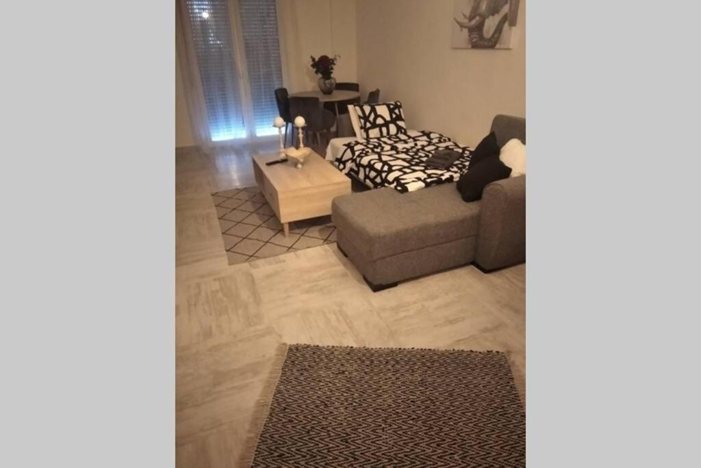 Modern Apartment In The City Center Ioannina Luaran gambar