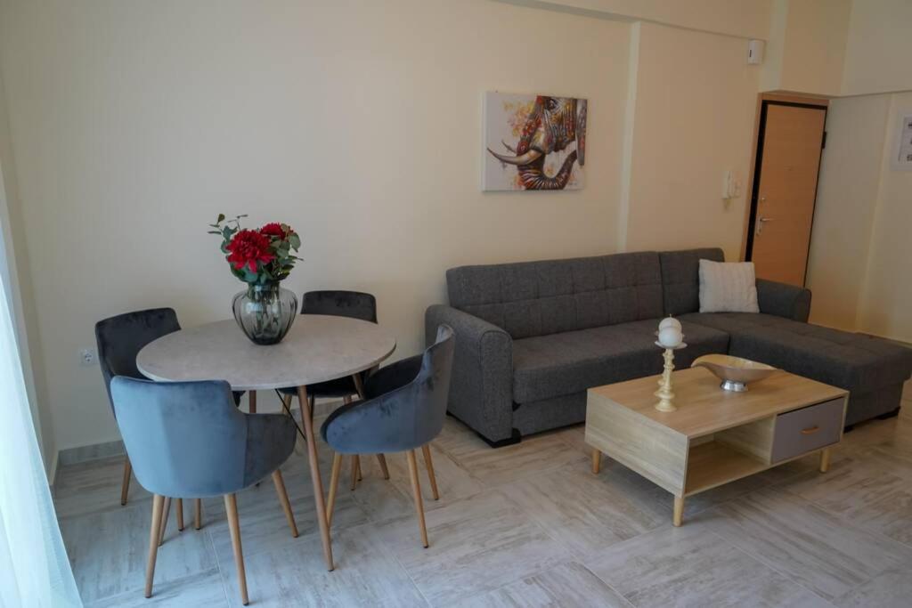 Modern Apartment In The City Center Ioannina Luaran gambar