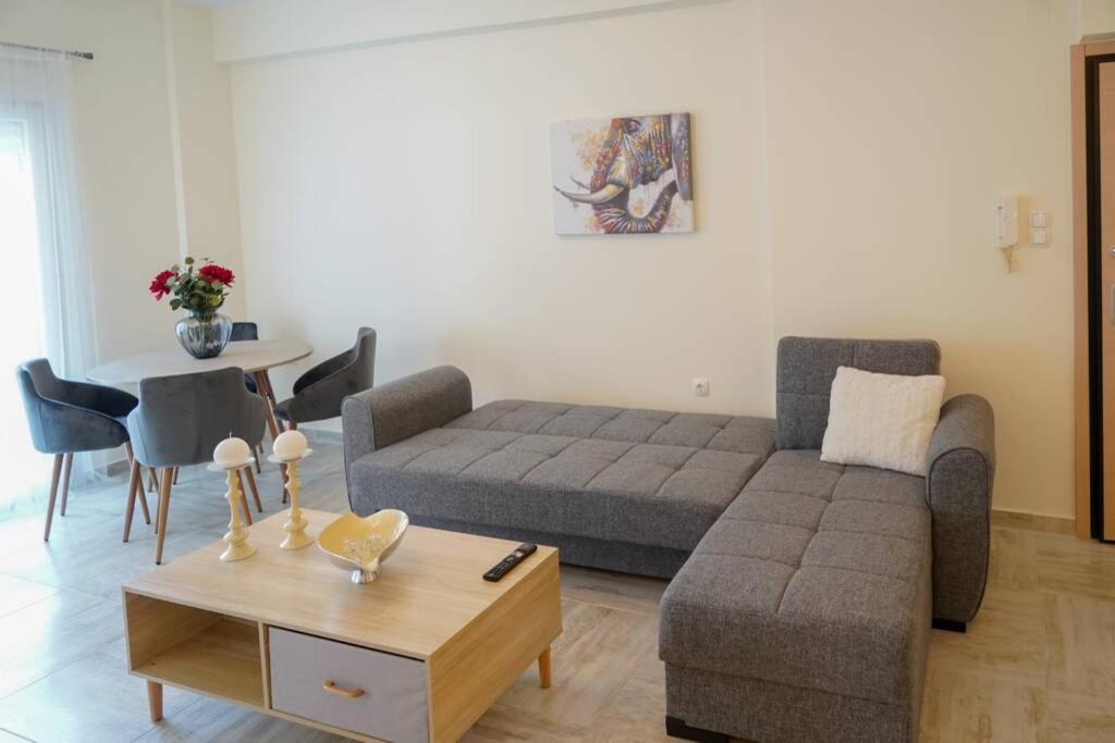 Modern Apartment In The City Center Ioannina Luaran gambar